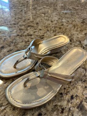 Lilly Pulitzer’s McKim Metallic Gold Wedge Thong Sandals.